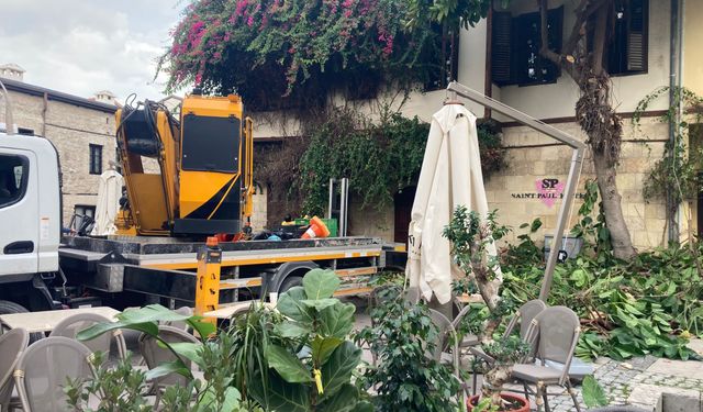 Tarsus'da Şehrin Dört Bir Yanında Budama Çalışmalarını Sürdürüyor