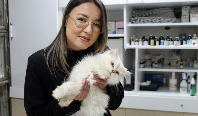 Kedide Nadir Görülen Doğumsal Anomali