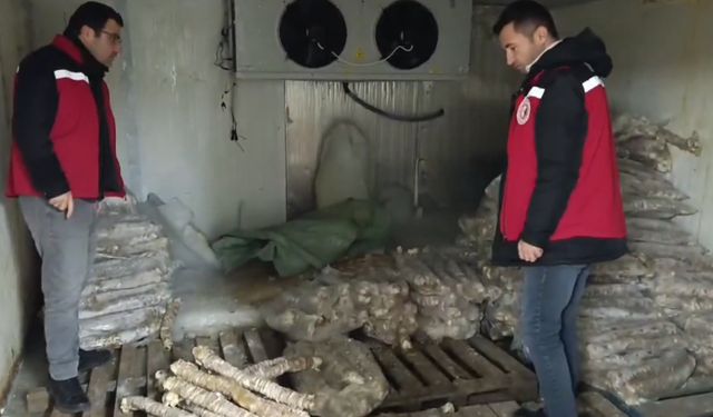 Değeri 4 Milyon Lira Olan Bozulmuş Kokoreç Ele Geçirildi