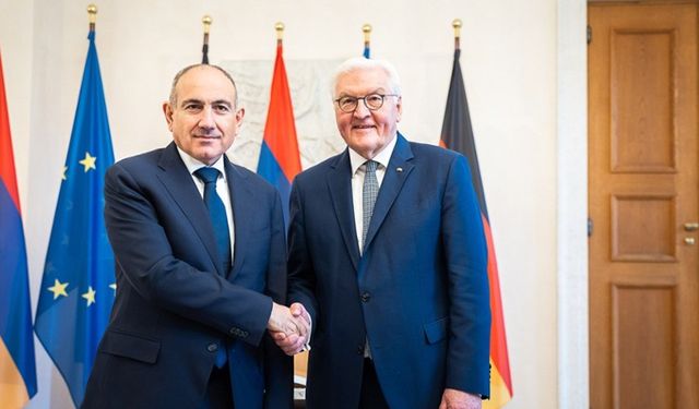 Ermenistan Başbakanı Paşinyan, Almanya Cumhurbaşkanı Steinmeier ile görüştü