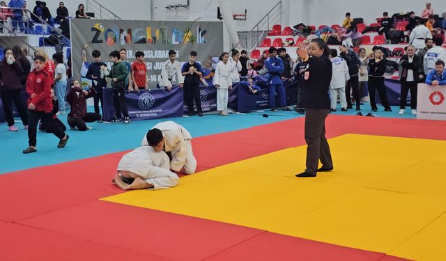 Uluslararası Madenci Kupası Judo turnuvası sona erdi