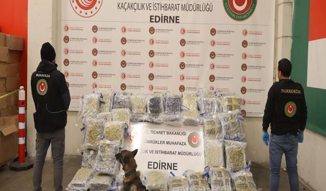 Türkiye'ye Giriş Yapan Tırda 144 Kilo 732 Gram Esrar Ele Geçirildi
