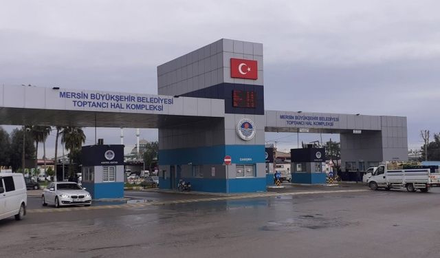 Mersin Halinde Bugün En Ucuz Ürün 13 Liradan Satıldı