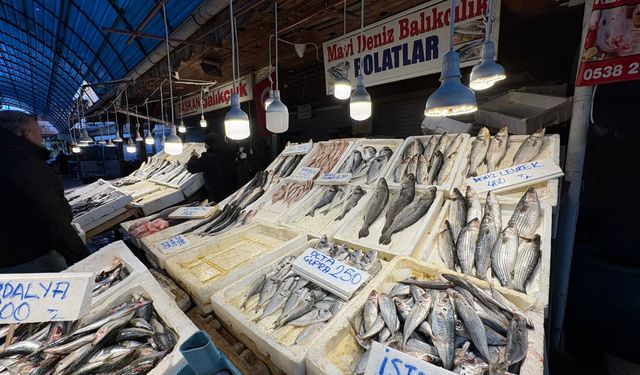 Çiftlik Balık Fiyatları Deniz Balıklarını Katladı