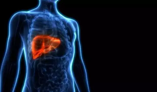 Hepatit B, Karaciğer Nakillerinin Başlıca Sebebi