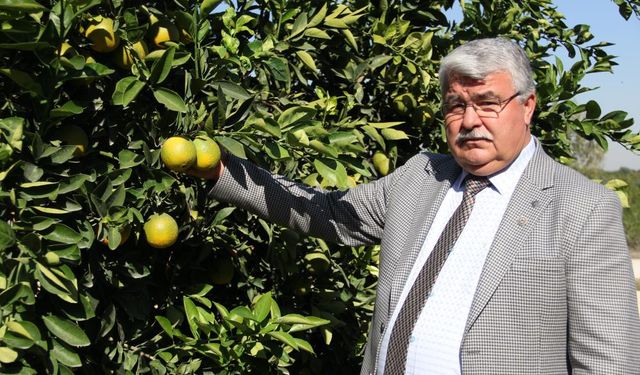 Başkan Yılmaz: "Acelesi Neydi De Bir Günde Böyle Bir Karar Verdi"