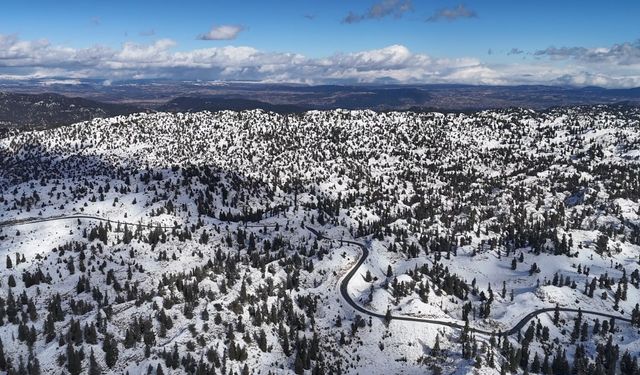 Mersin'de karla kaplanan ormanlık alandan kartpostallık görüntüler
