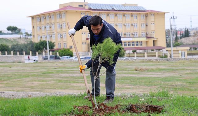 Toroslar’da 10 Günde Bin Fidan Toprakla Buluştu