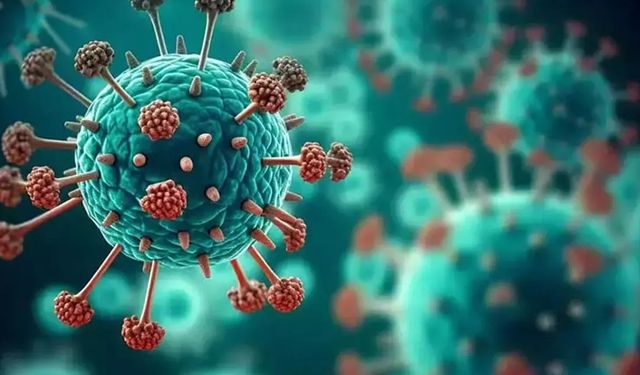 Küresel Isınma Enfeksiyon hastalıklarının Görülme Tarihlerini Etkiliyor