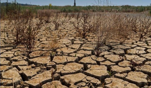 Yağışlar Yetersiz Kaldı, Barajlar Beslenemedi