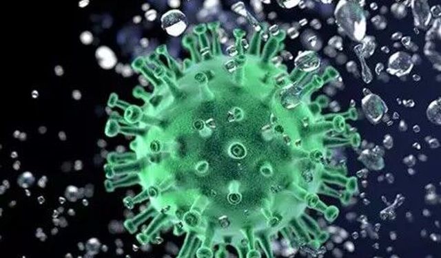 Uzmanından Uyarı: Nipah Virüsü'nün Aşı veya Tedavisi Yok