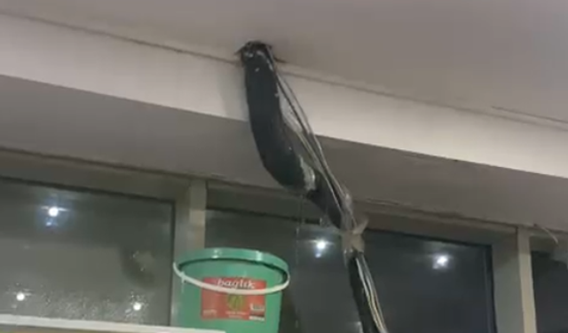 Mersin Şehir Hastanesi’nde Şaşırtan Manzara