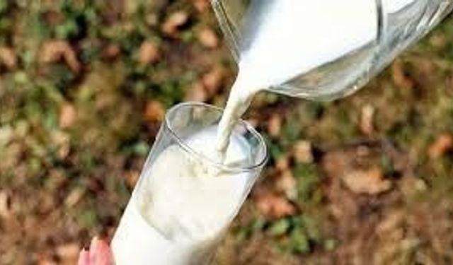 TÜİK: Et, Yumurta, Süt Ürünlerinin Üretim Miktarları Azaldı