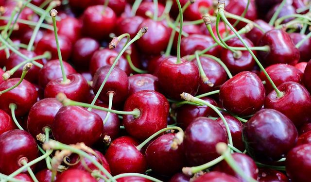 Yılın İlk Kirazı Çıktı: 1 Adet Kiraz Tam 7 Bin Lira!