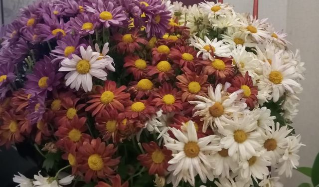 Mersin’de 14 Şubat Hazırlığı Başlıyor