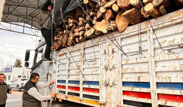 Mersin Orman Bölge Müdürlüğü’nden 9 ilçede eş zamanlı denetim