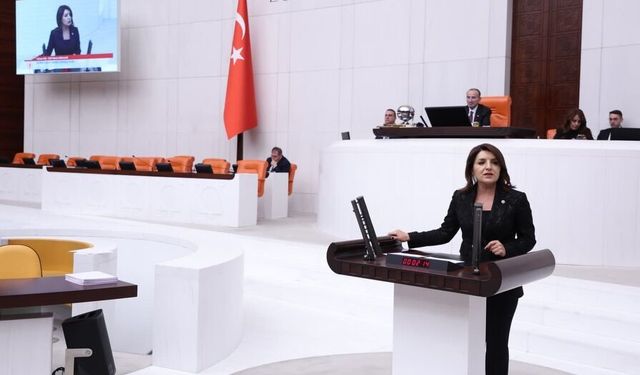 Gülcan Kış: “Mersin Limanı işçileri 55 gündür nöbette”