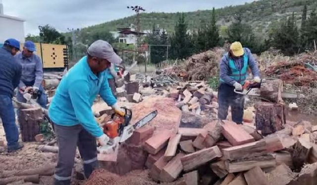 Silifke'de 400 vatandaşa odun desteği