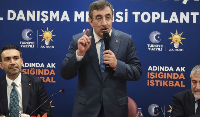 Cumhurbaşkanı Yardımcısı Yılmaz: “Emperyalist Bir Takım Güçler Avuçlarını Yalayacaklar”