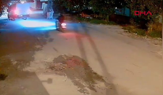 Adana'da Havlayan Köpeği Ezdi