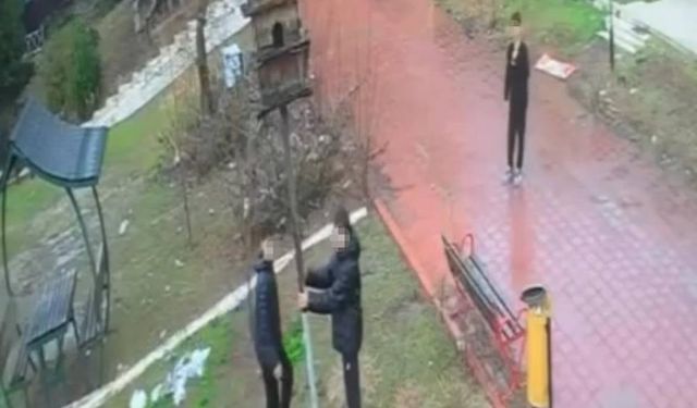 Parkta Üzücü Görüntüler: Kuş Yuvasına Zarar Veren Çocuklar Kamerada