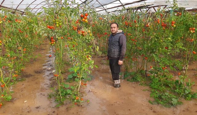 Sağanak Yağış ve Hortum Seralarda Büyük Zarara Yol Açtı