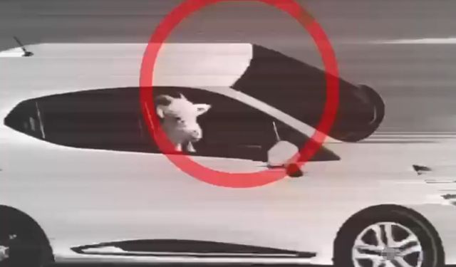 Küçükbaş Hırsızlarına Operasyon: 3 Tutuklama