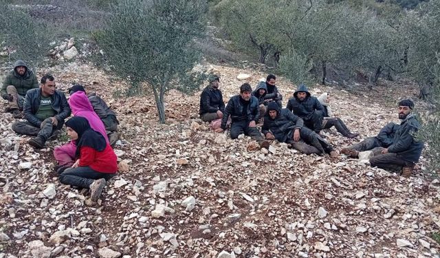 Hatay'da Zeytinlik Alanda 30 Düzensiz Göçmen Yakalandı
