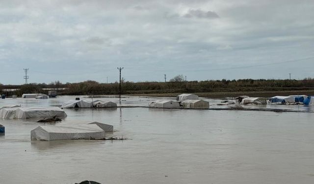 8 Bin Dönüm Ekili Alan Sular Altında Kaldı