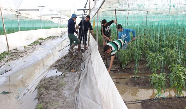 Mersin’de Sağanak Yağış Tarımı Vurdu: Araziler Sular Altında, Ürünler Zarar Gördü