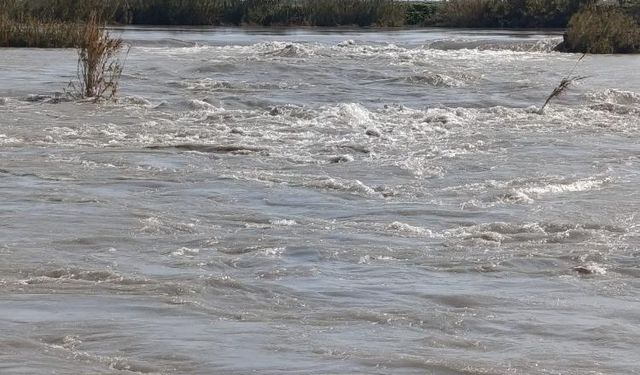 Seyhan Nehri taştı, tarlalar sular altında kaldı