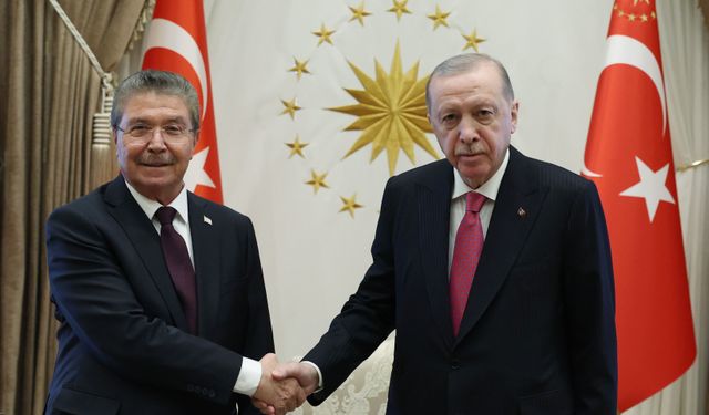 Cumhurbaşkanı Erdoğan, KKTC Başbakanı Üstel ile bir araya geldi