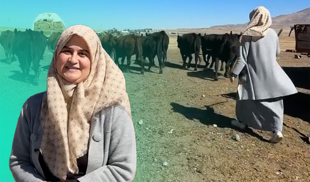 Bitlisli genç üretici Seray Çınar: 'Kırsalda Bereket Projesi' hayallerime ulaştırdı