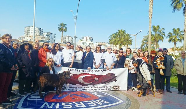 Mersin’de Hayvan Hakları İçin  Çağrı: “Sorun Yasa Değil, Uygulama”