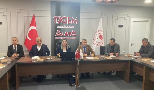 Mersin tarımında bilimsel hasat