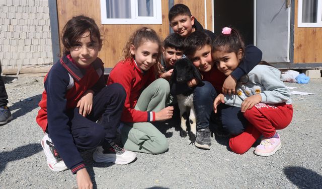 'Boncuk' kuzu, elbisesi ve biberonuyla ilgi odağı oldu