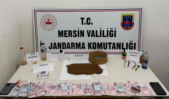 Mersin'de zehir tacirlerine operasyon