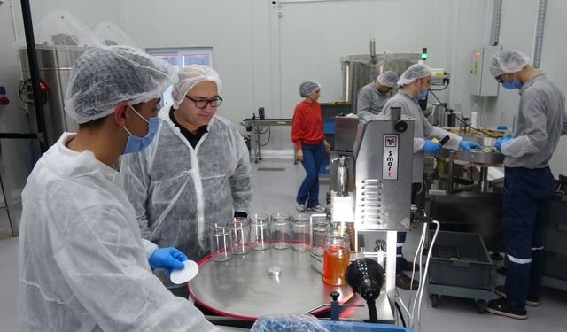 Mersin'de devlet destekli modern tesislerde bal üretimi