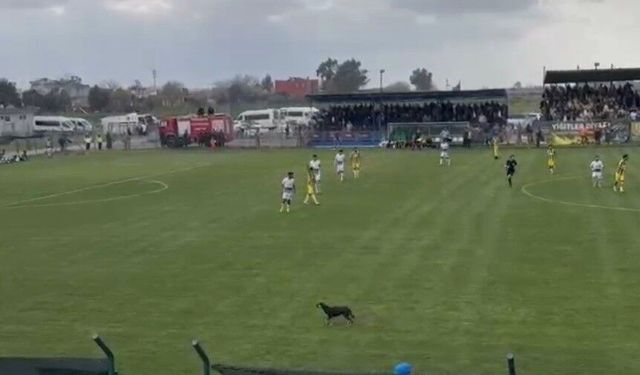 Futbol durdu ama herkes çok eğlendi