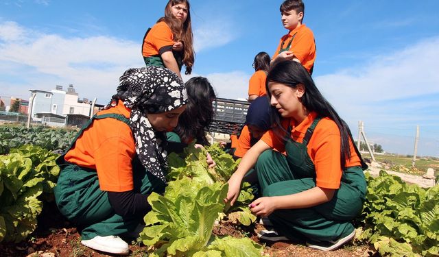 Çukurova’da tarıma okullu destek