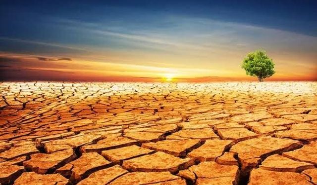 DAÇE ve Mersin Çevre Platformu’ndan acil çağrı