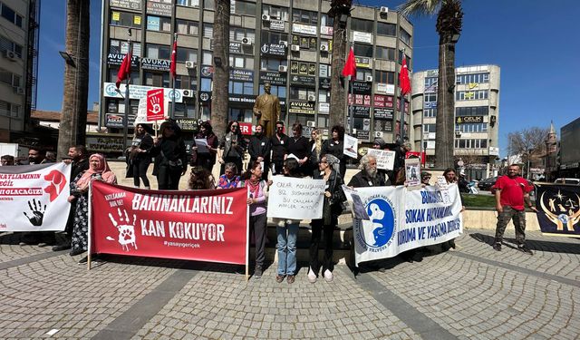 Edremit'te hayvanseverler sokak köpeklerinin ölümünü protesto etti