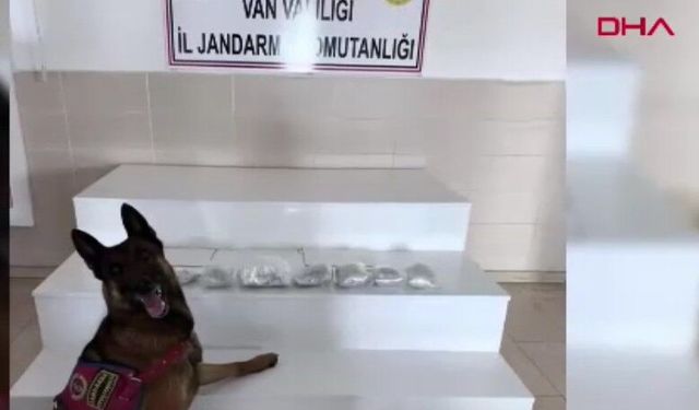 Van ve Hakkari'de zehir tacirlerine operasyon