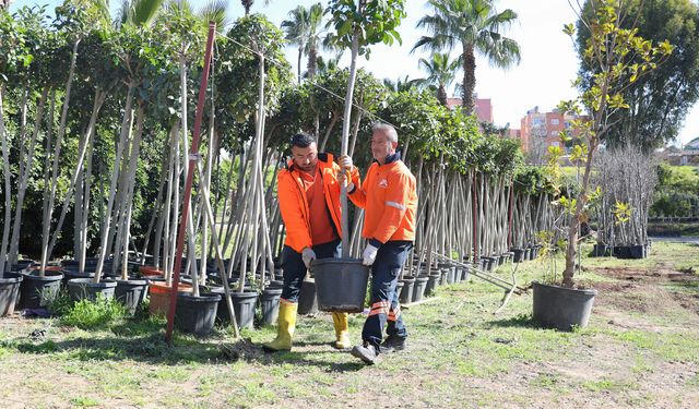 Mersin Büyükşehir’den ‘ağaçlandırma kampanyası’