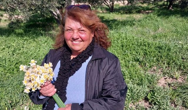 Nergis çiçekleri gelir kaynağı oldu