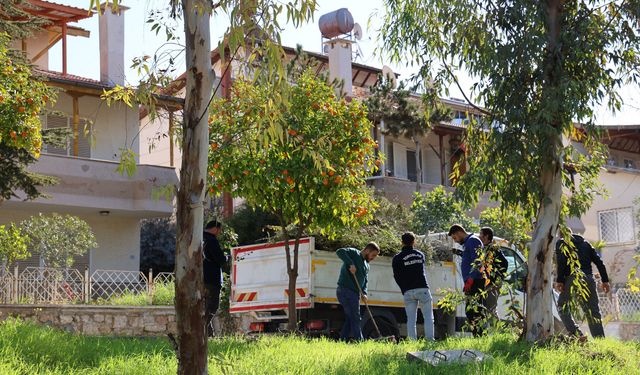 Toroslarda, kamusal alanlar işgalden temizleniyor