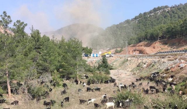 Aydıncık'ta çevreciler kazandı