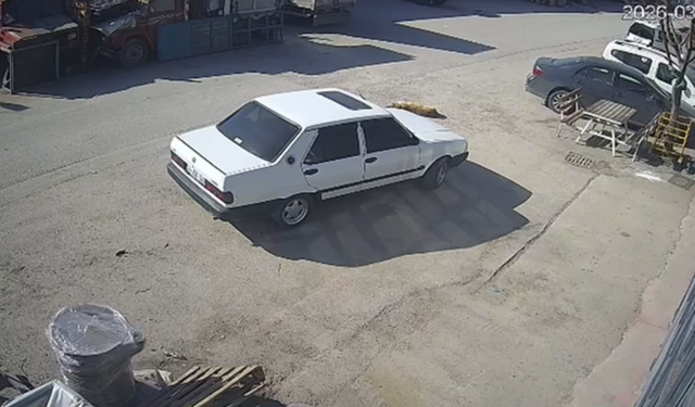 Yerde yatan köpek, otomobilin altında kaldı