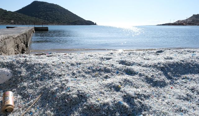 Yeşilovacık sahilinde görülmemiş çevre katliamı