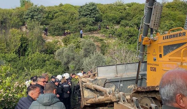 Anayurt Mahallesi’nde ağaç sökümüne tepki